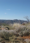 Arkaroola Wilderness - Flinders Rangers