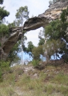 Mt Moffart